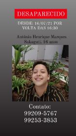 Antônio Henrique Marques Sakaguti